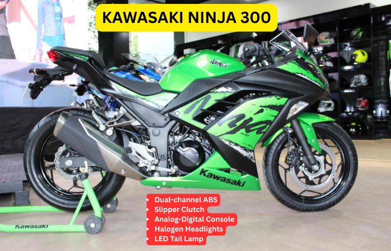 Kawasaki Ninja 300